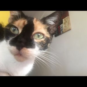 Meet your Posher, Barbara